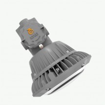 LDXEFD01A系列防爆平臺(tái)燈具